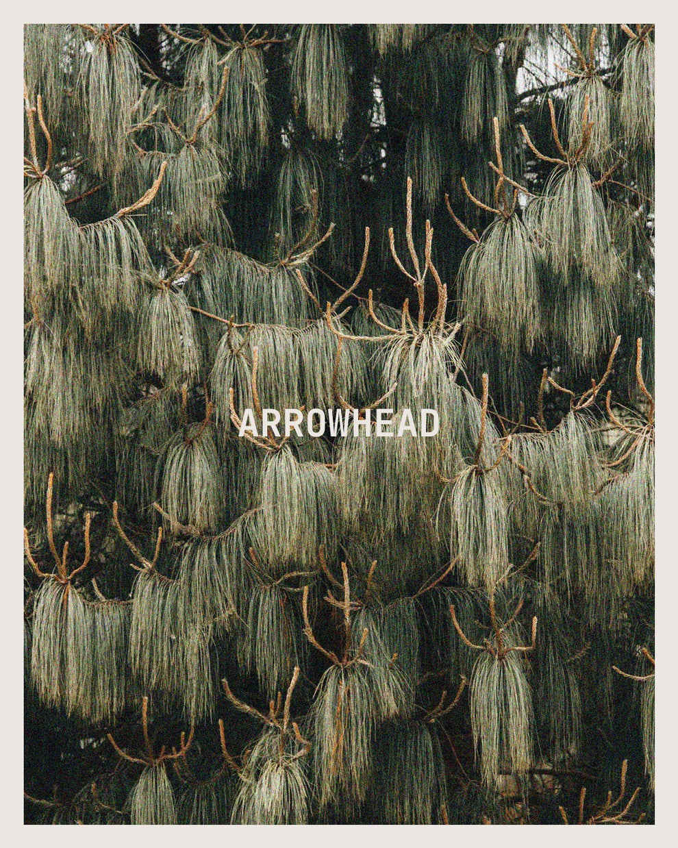 Arrowhead Candle - Image 2