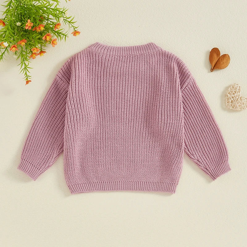 Baby Toddler Kids Girls Big Sister Fall Winter Sweater Casual Letter Flower Embroidery Crew Neck Long Sleeve Pullover Top - Image 20