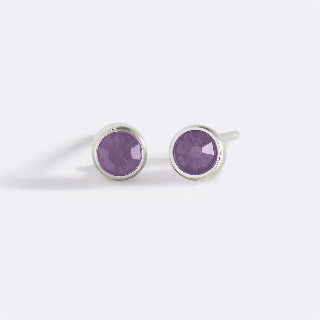 Mint & Lily Birthstone Bezel Studs - Image 101