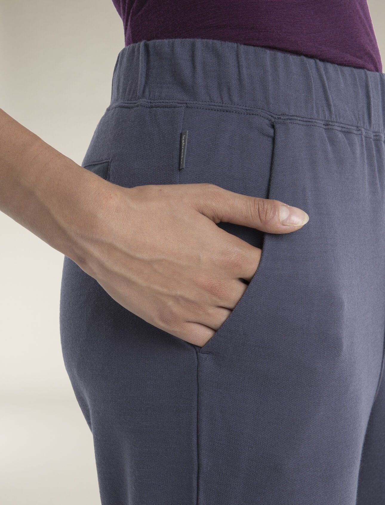 Icebreaker Women's Merino Blend Ii 200 Crush Ankle Pants - Image 4